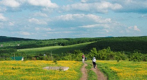 Rect karusel1