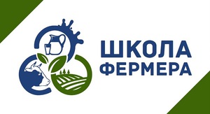 Rect 2021 08 04 15 56 33 1