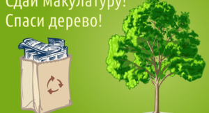 Rect 6c13490b6eefbf33b064fe17c1021c8c