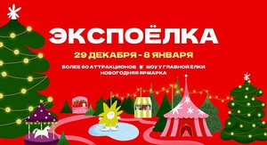 Rect qxqk8nbpgku