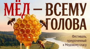 Rect 2026 06 16 09 23 18