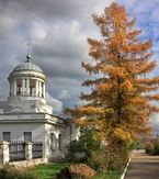 Medium 7 img 9111                                