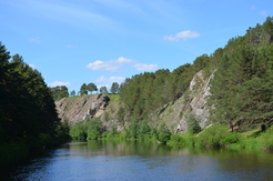 Medium        1