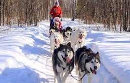 Medium jlef9t chz0