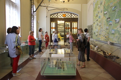 Medium img 8981