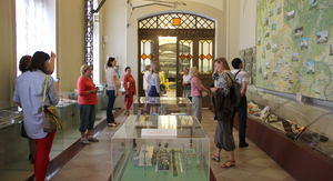 Rect img 8981
