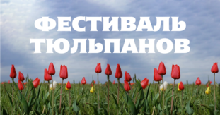 Medium photo