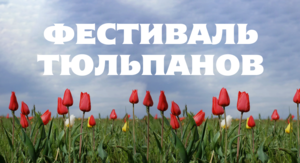 Rect photo