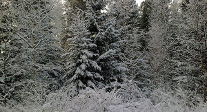 Rect         .                            12.2012